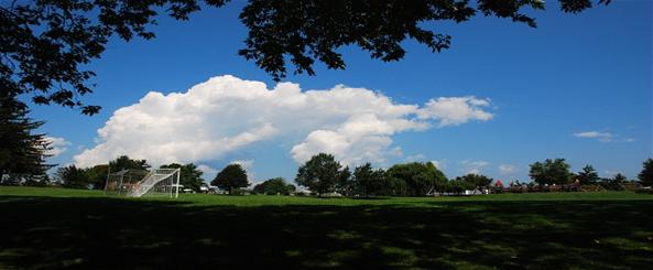Playground W.O. Riley Park